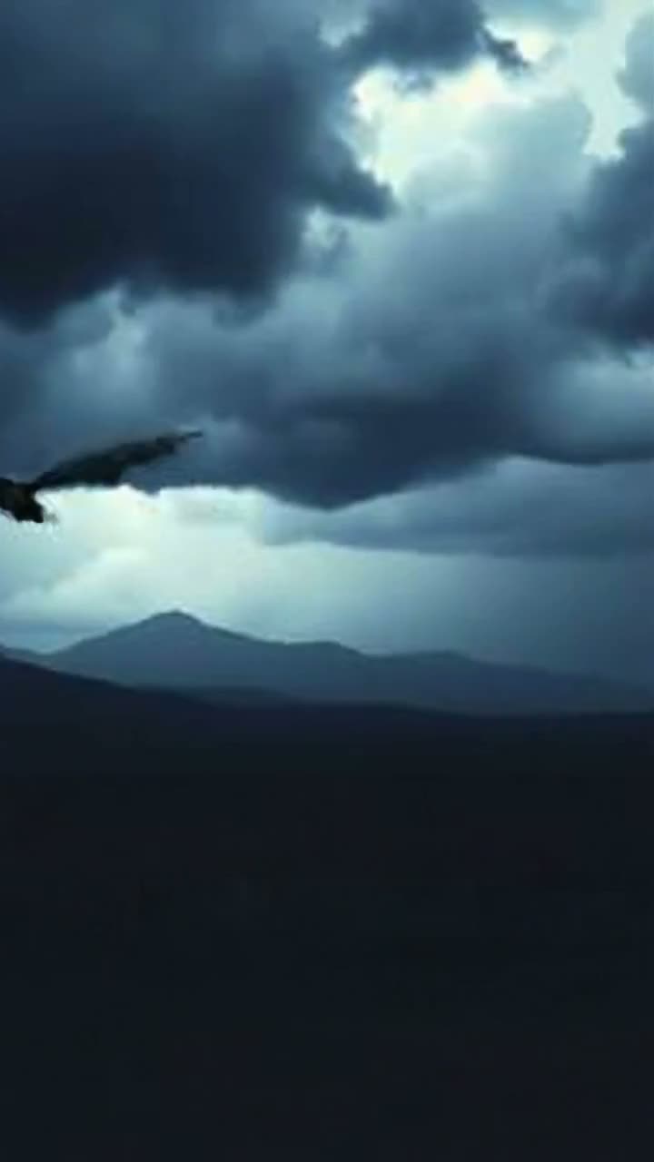 Persona image for jr 