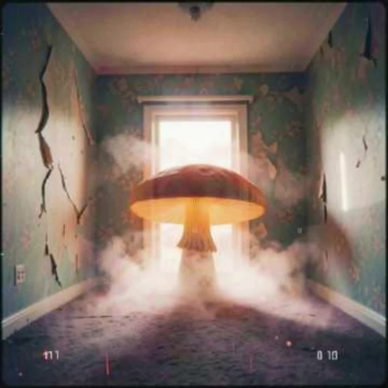 Mushroom Door (Dreamy Remix)  (Unplugged) artwork