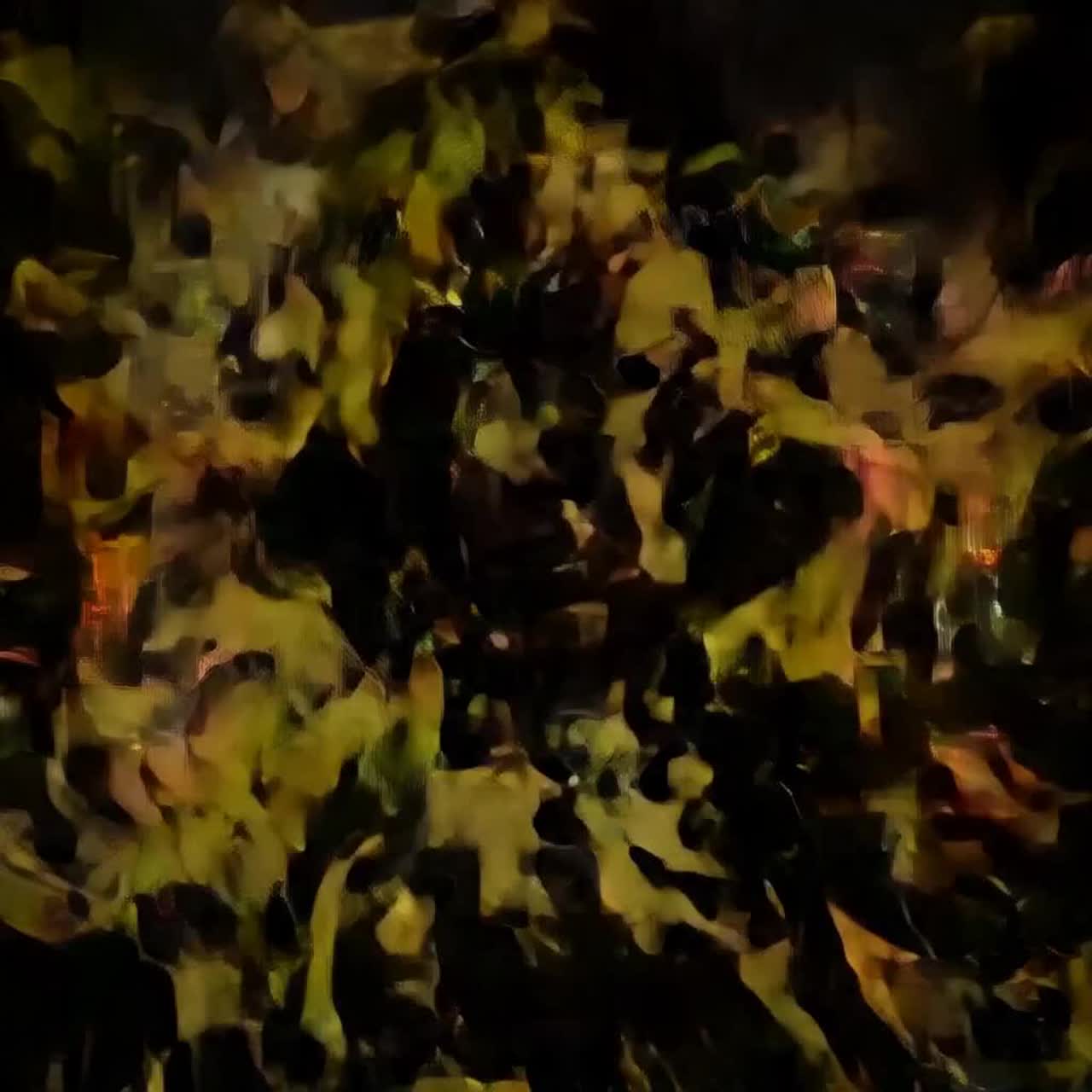 The Paper Girl Encased artwork