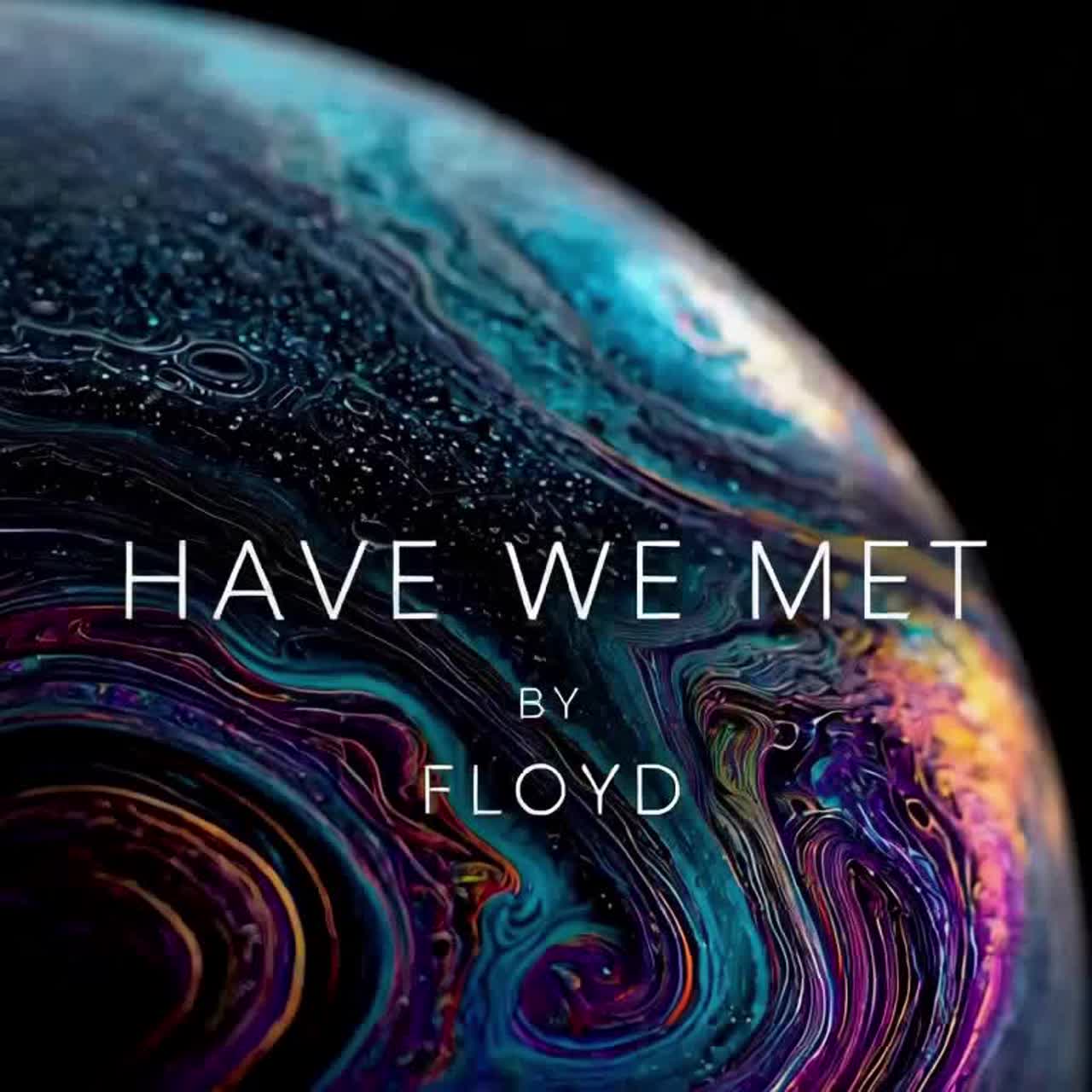 HAVE WE MET artwork