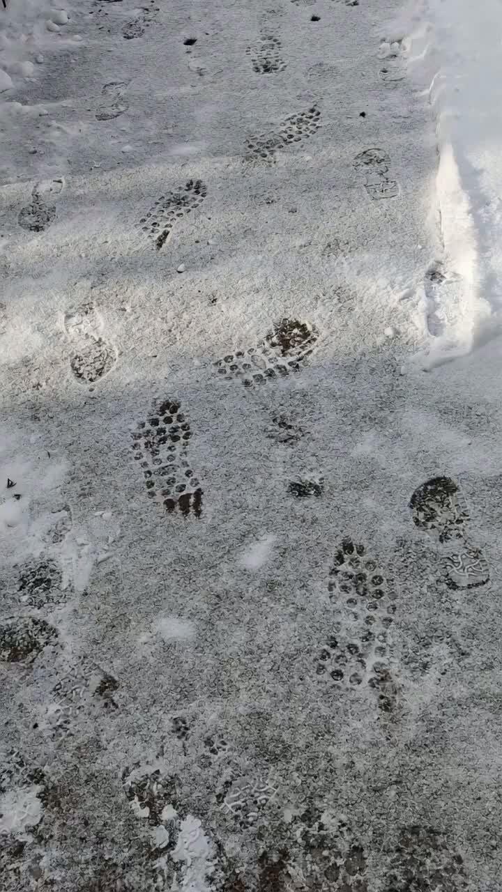 Urmele paşilor tăi - The traces of your footsteps artwork