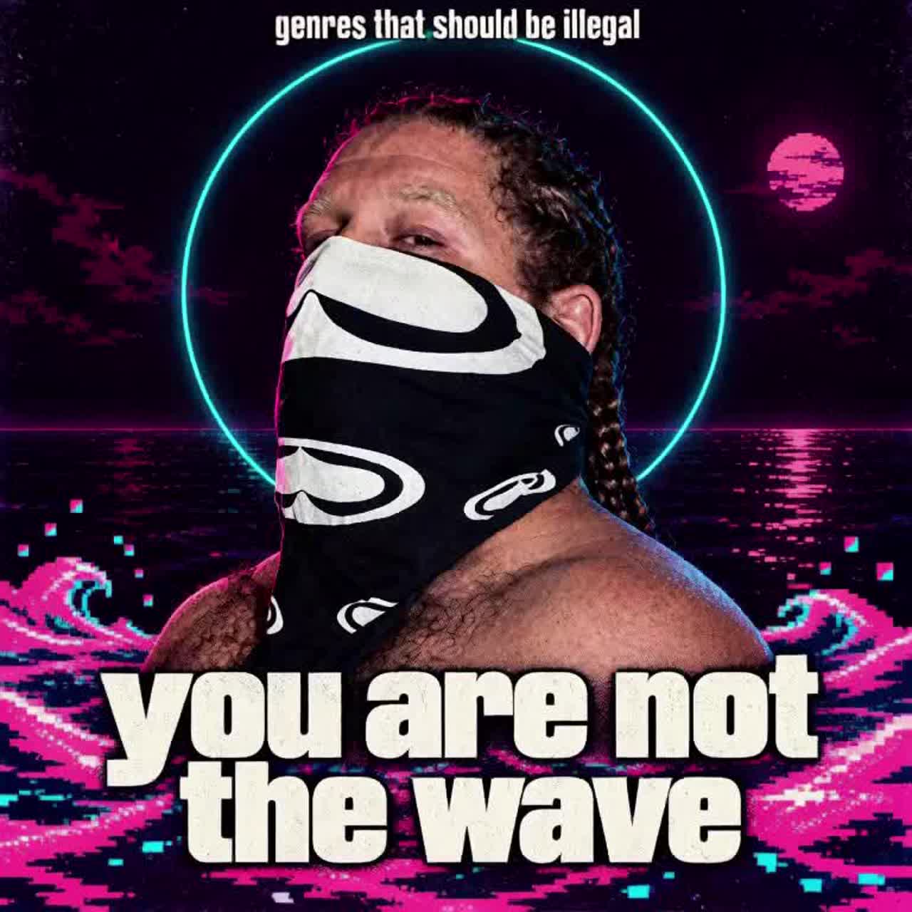 You Are Not The Wave artwork