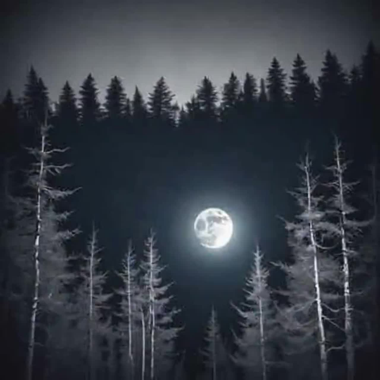 И НА ДОРОГУ ОБРЕЧЁННО...  4
