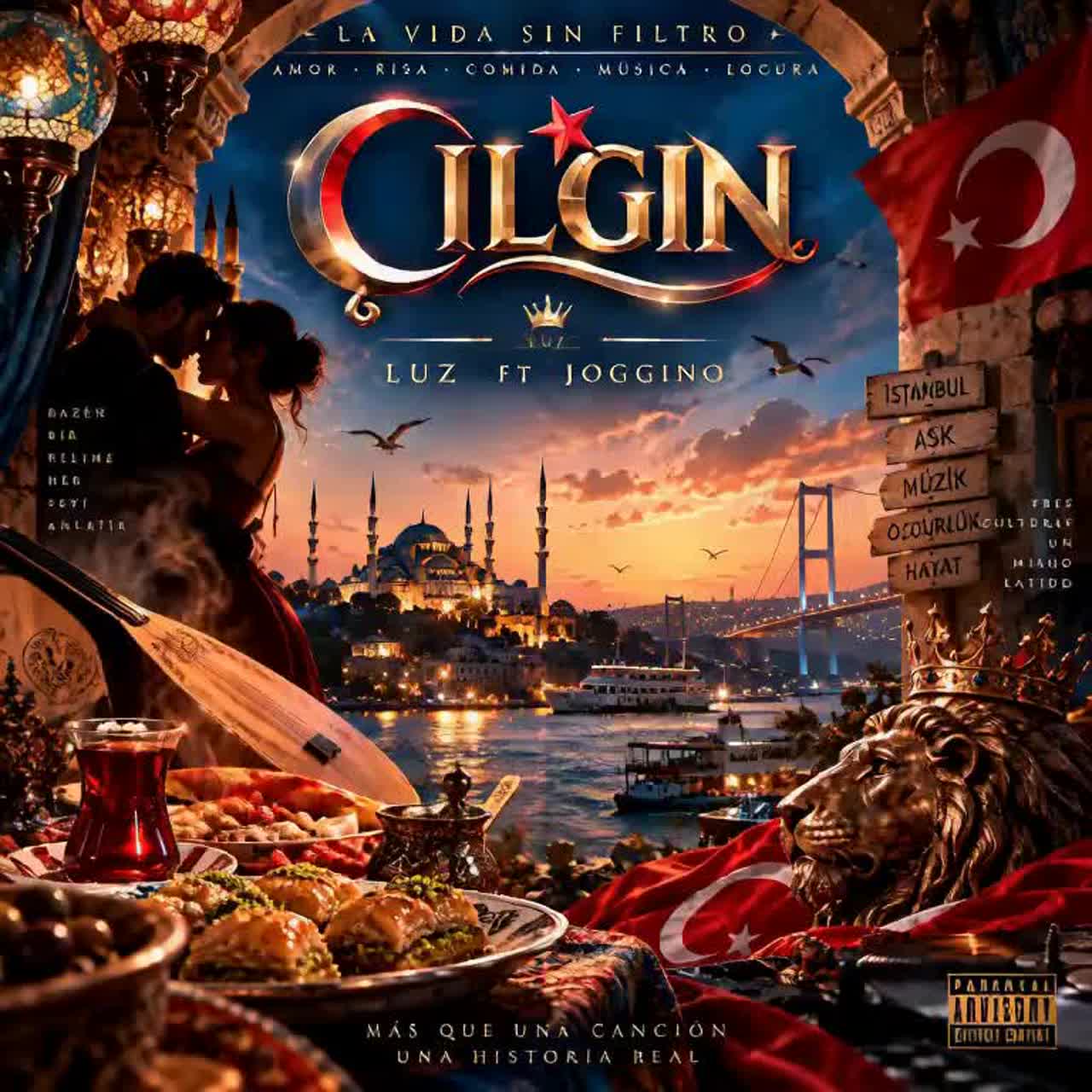 ÇILGIN artwork