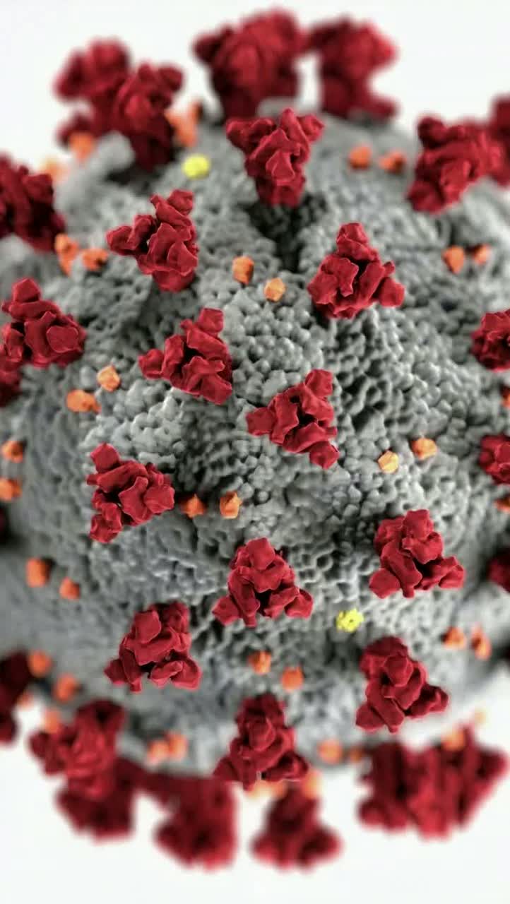 Image for that country/かの国(Japanese)(English)