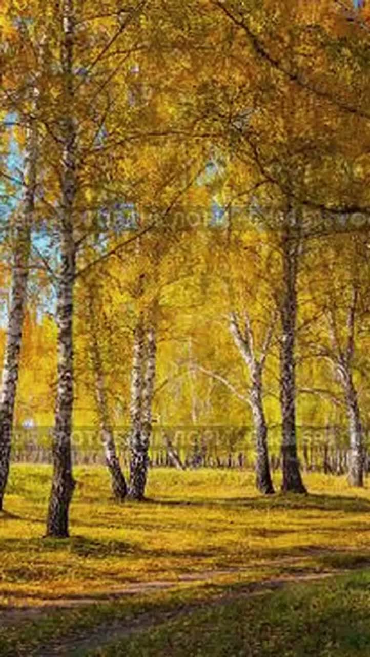 Роща (Cover) artwork