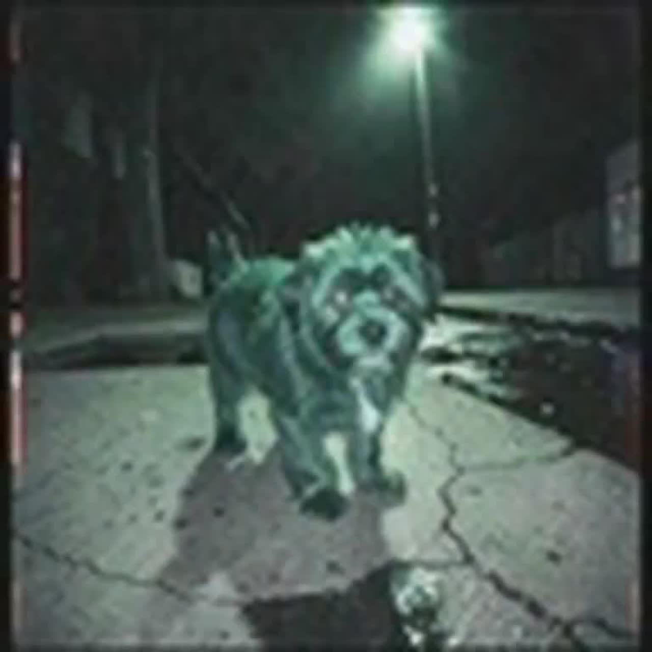 toxic  pom pomerania radiactivo color verde radiactivo artwork