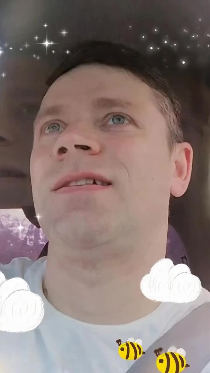 Звёзды 🤩