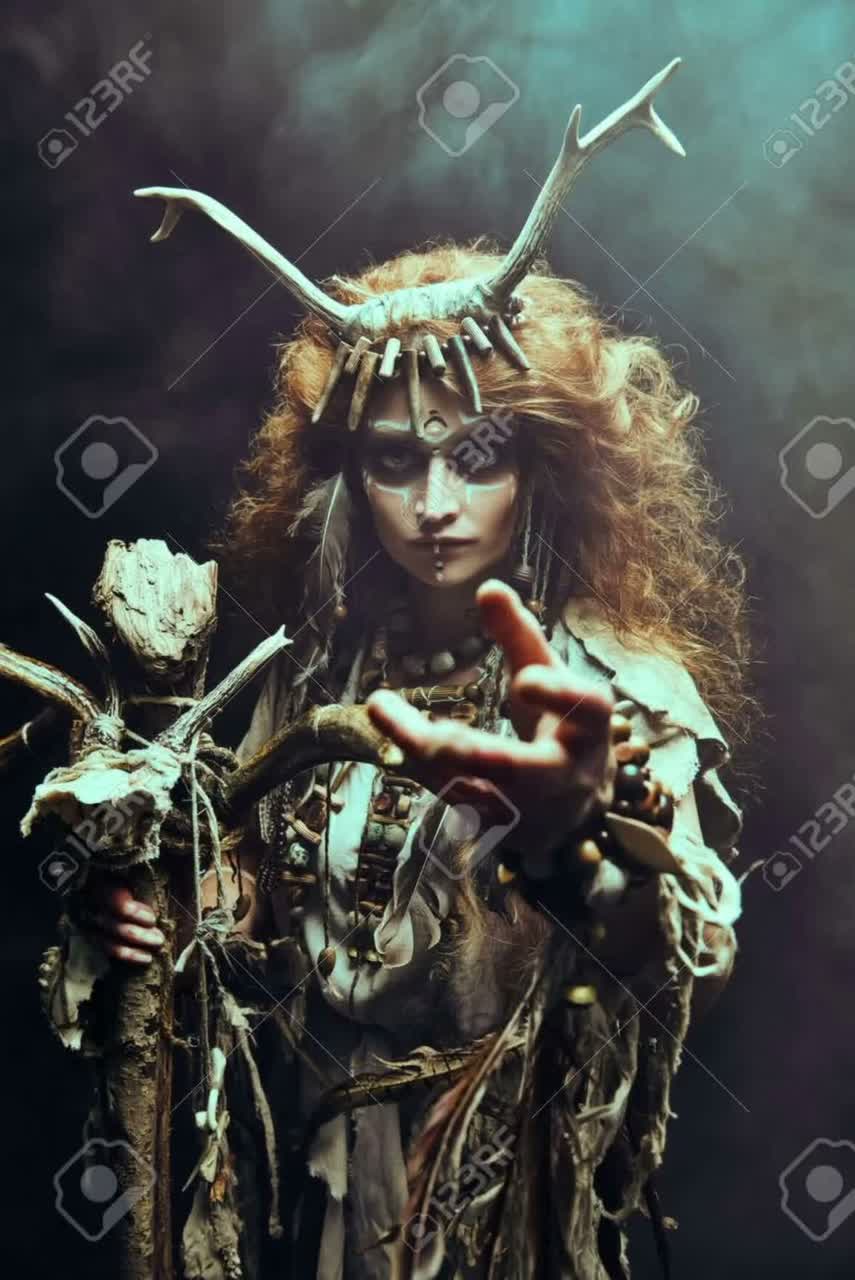 Shaman  the guadian artwork