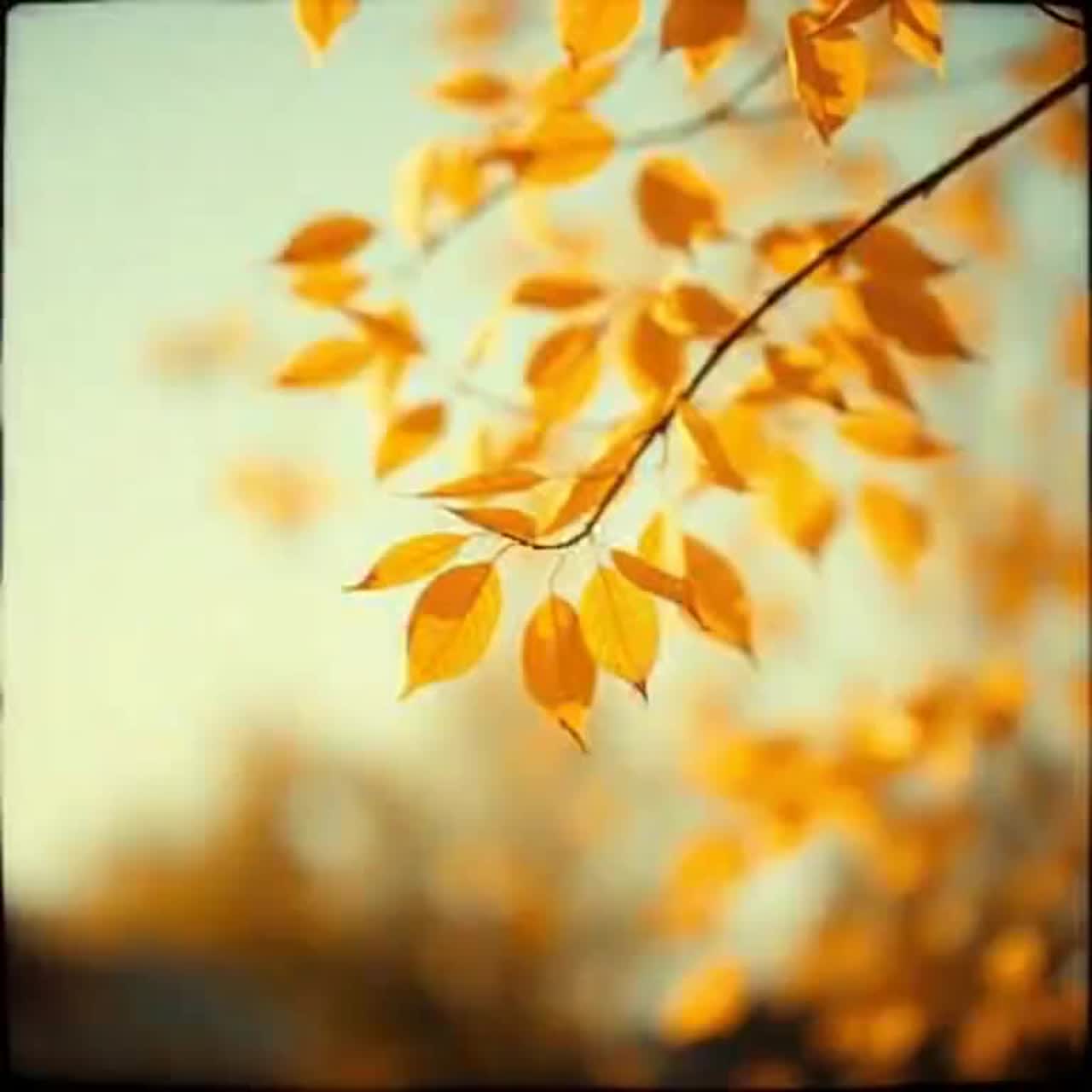 Autumn artwork
