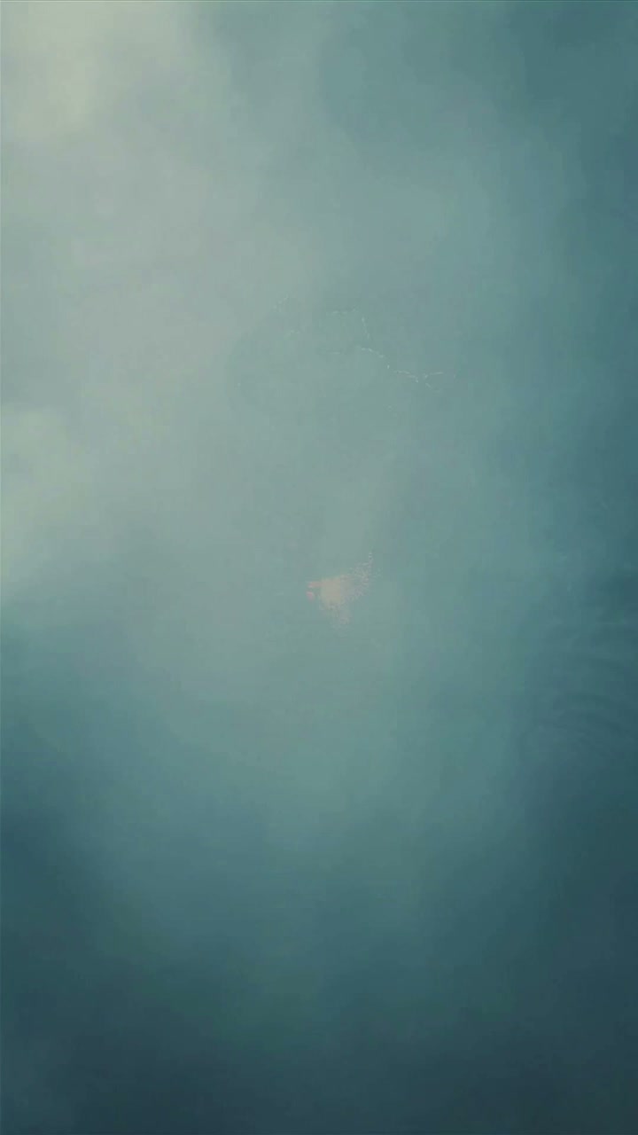 In the middle of the madness artwork