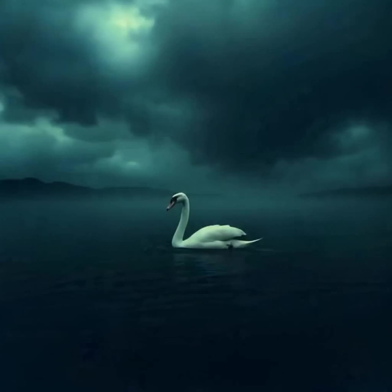 CZ - Labutí píseň artwork
