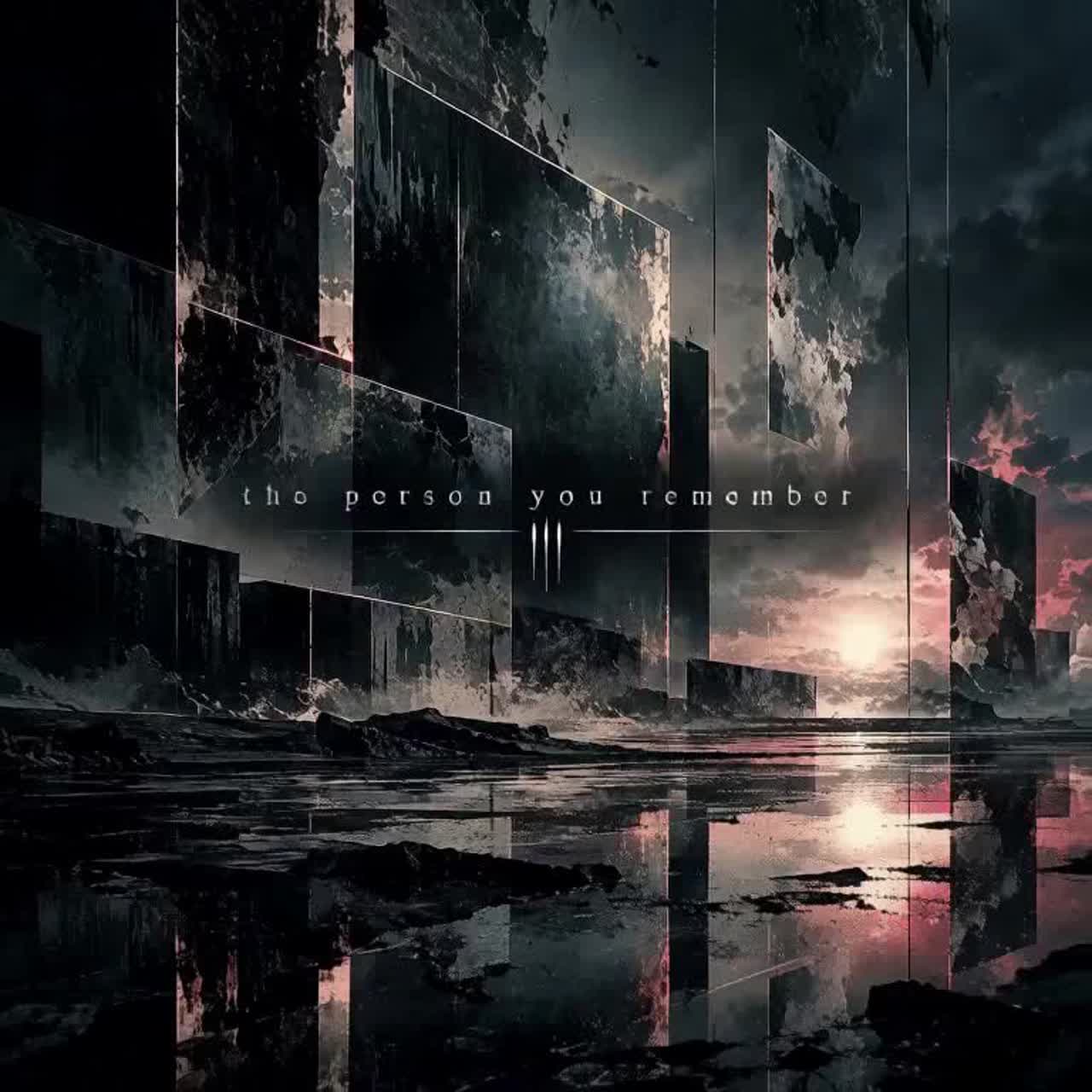 THE PERSON YOU REMEMBER artwork