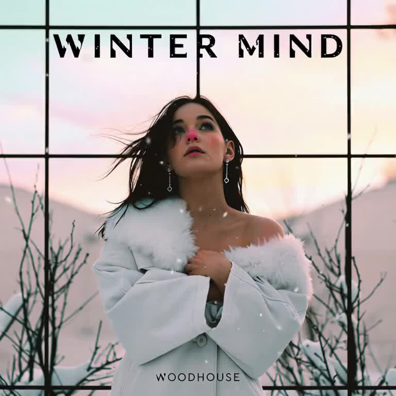 Winter Mind artwork