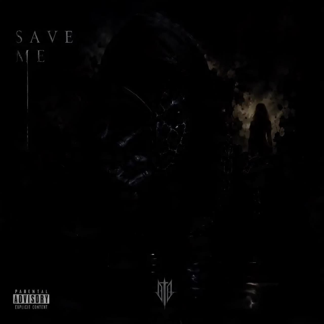 What I didnt say artwork
