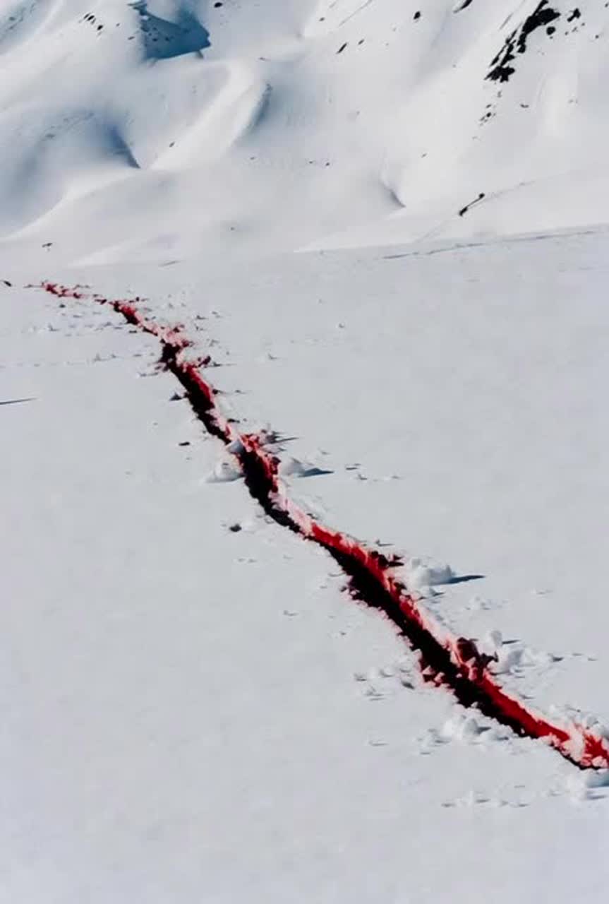 Bloodlines in the Snow (Remade) artwork