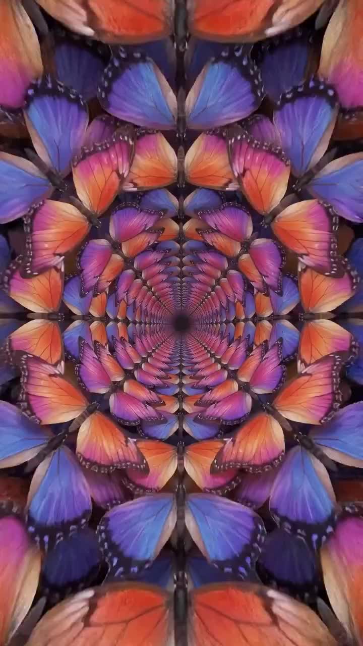 Hartrose - Hurriyya x Petal by Petal - Aldo NX (Mashup) artwork