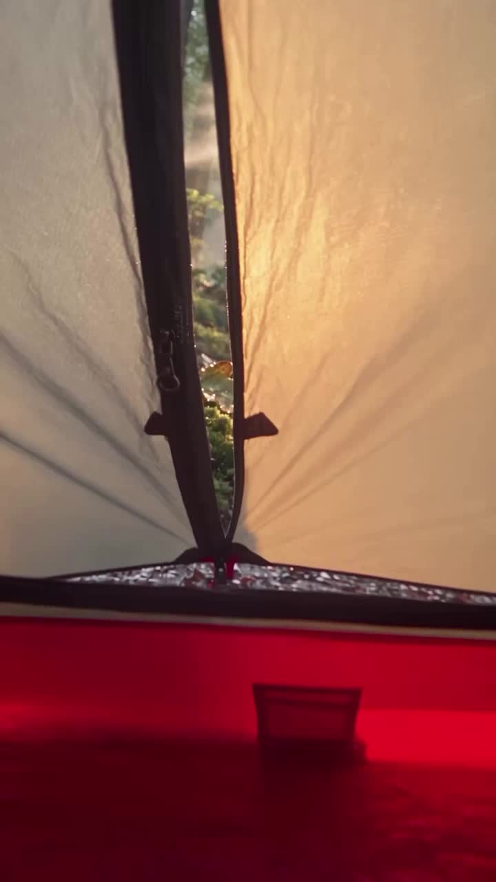 Hier schlägt die Welt artwork