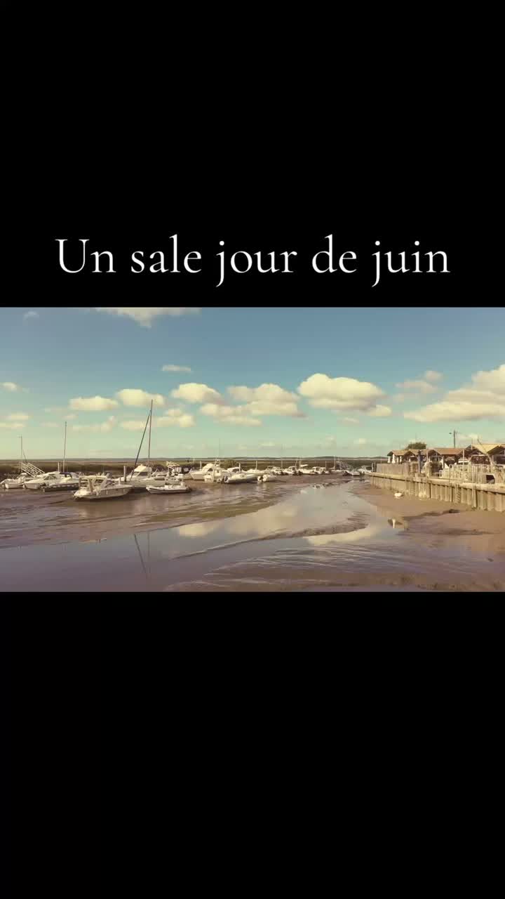 Un sale jour de juin artwork
