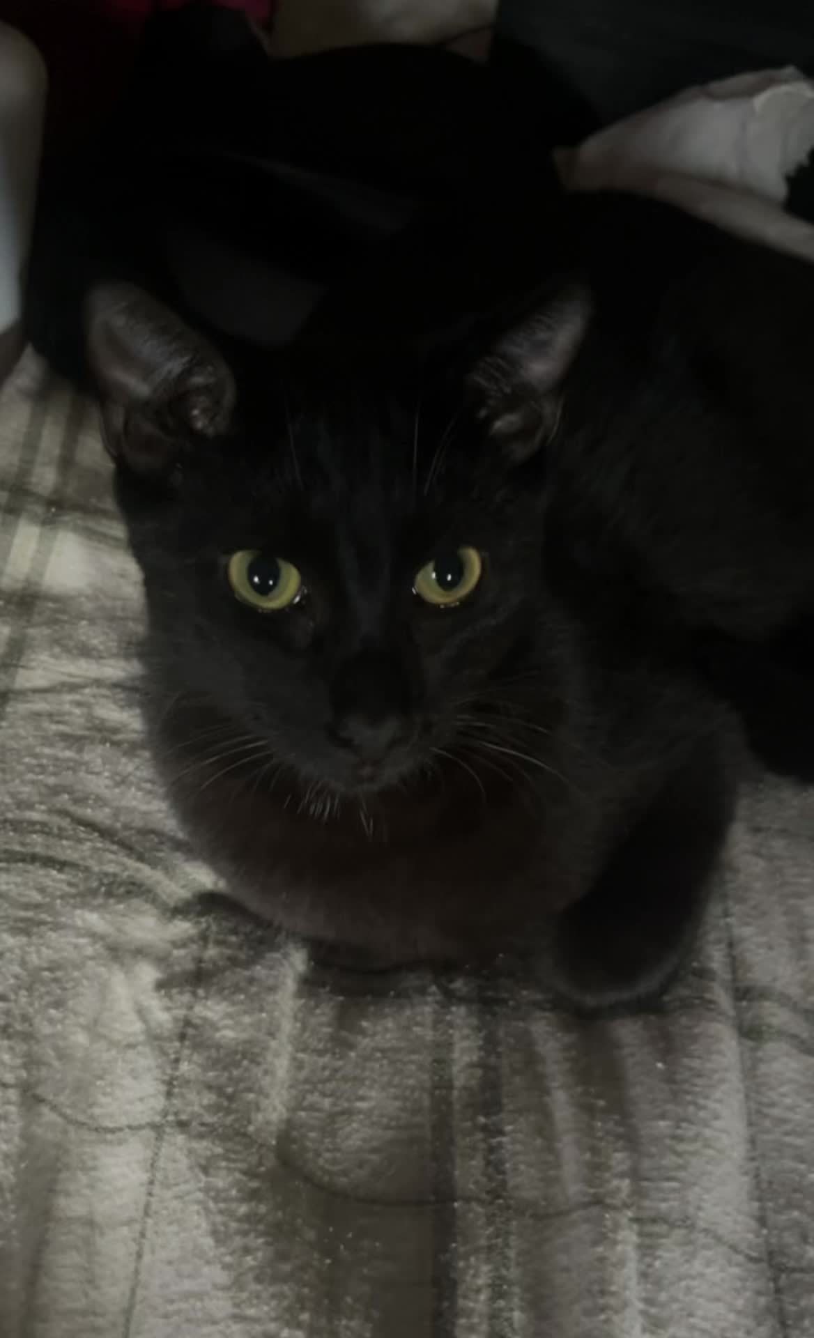 Persona image for Untitled Persona