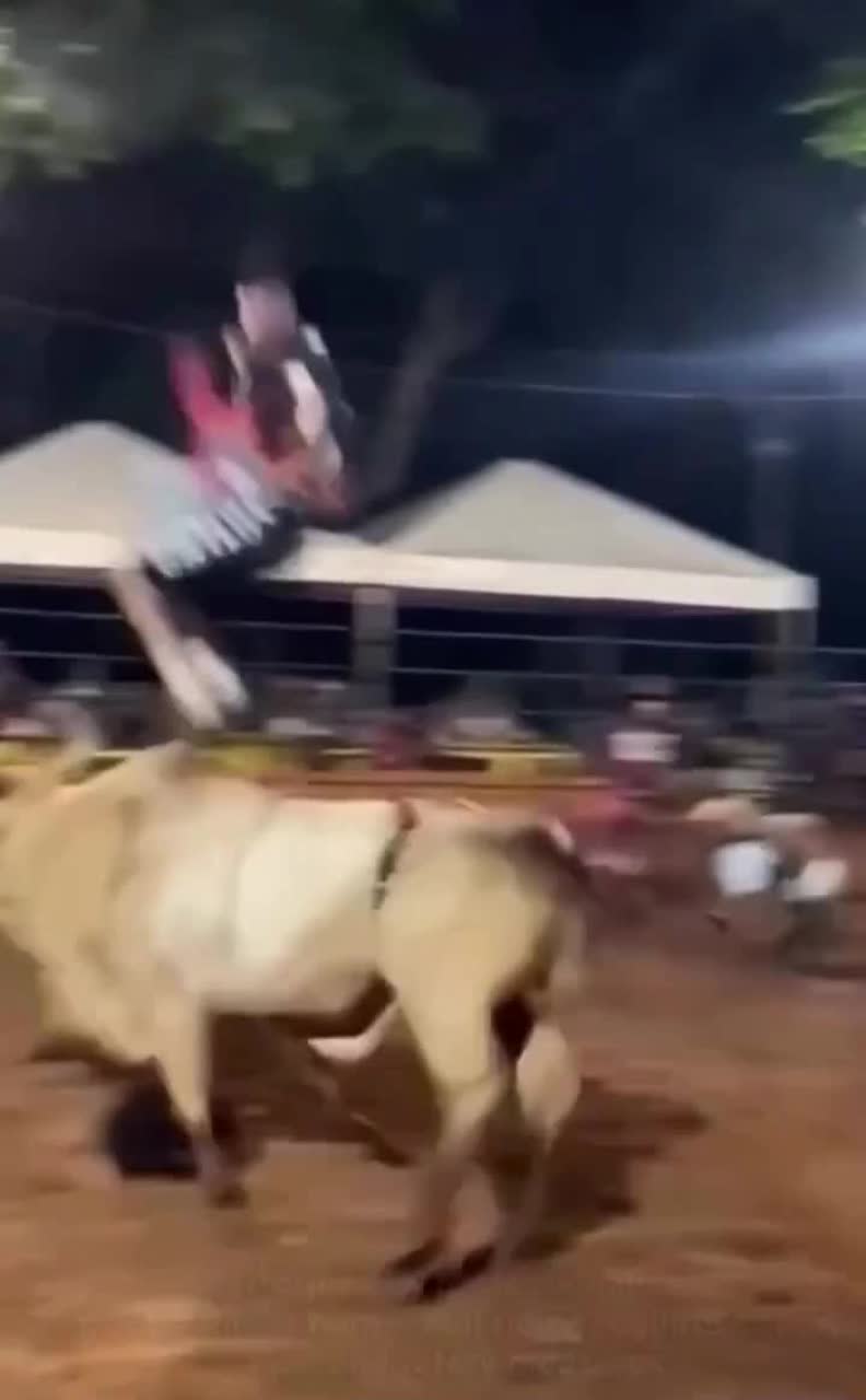 Country Hooks 4