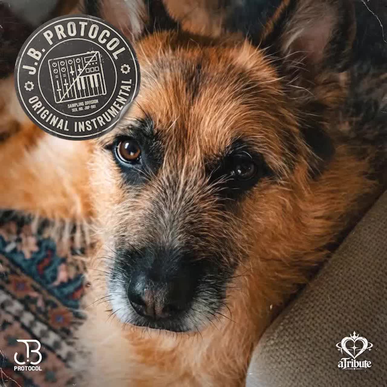 Frequency of Trust (aTribute) (Instrumental) artwork