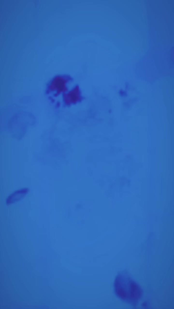 Image for Alles voller Aale