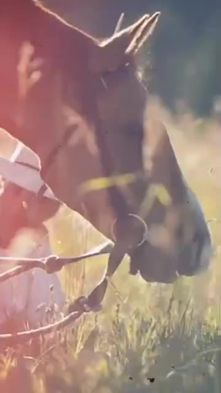 Country Hooks 3