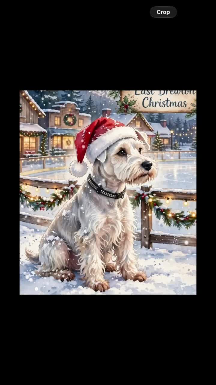 Bojangles Stole Christmas artwork