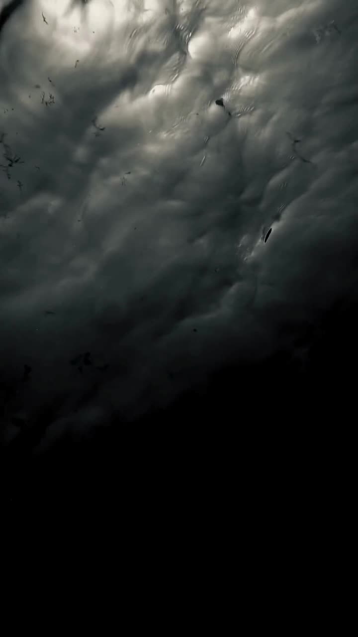 The Great Descent [WHAT STAYED] — Embers Fire artwork