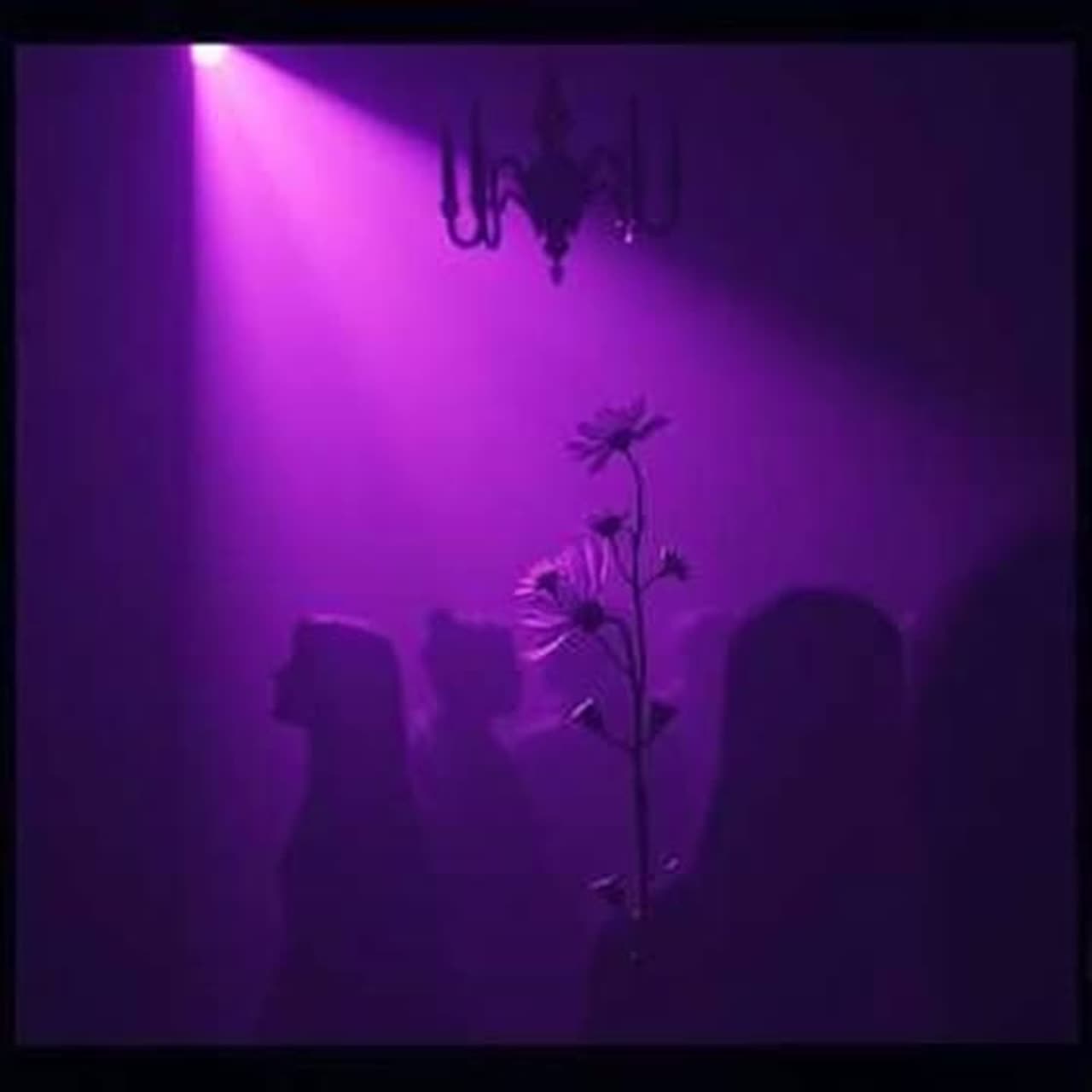 Moment artwork