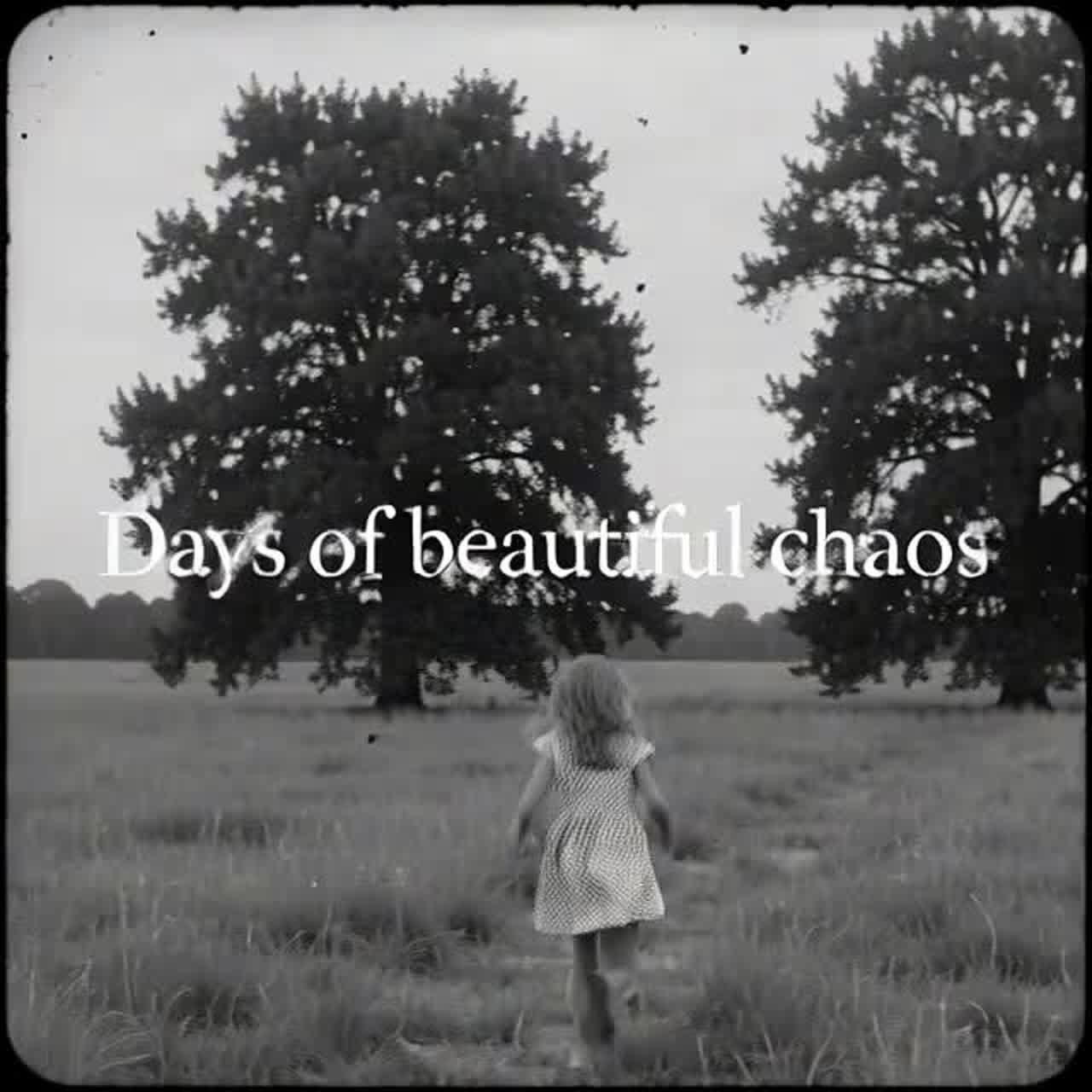 Days of beautiful chaos artwork