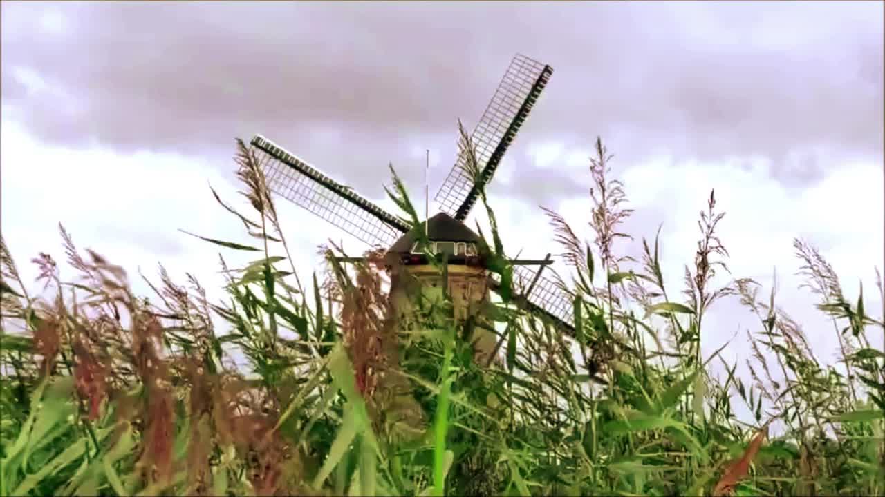 Song Cover Image