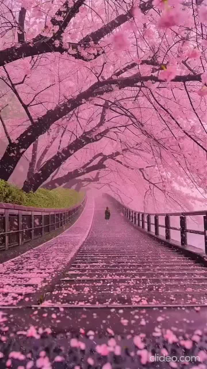 内側の海へ artwork
