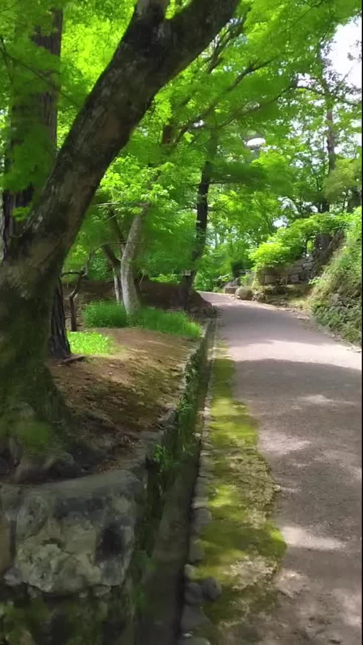 『一つ、また一つ』～丹波亀山城～弐（Tanba Kameyama Castle No.2） artwork