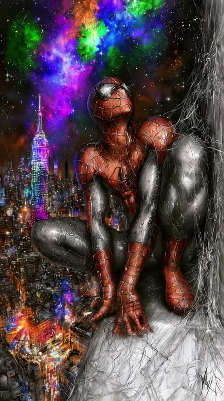 Web Stop artwork