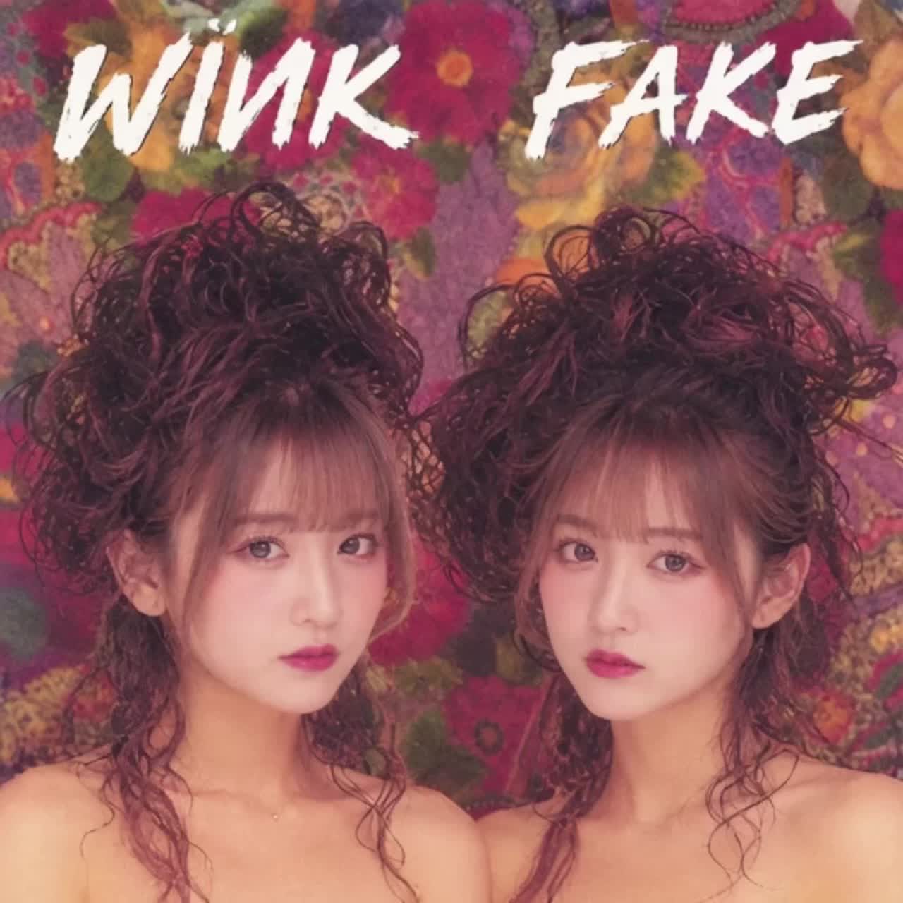 FAKE　－嘘の使い方－ artwork