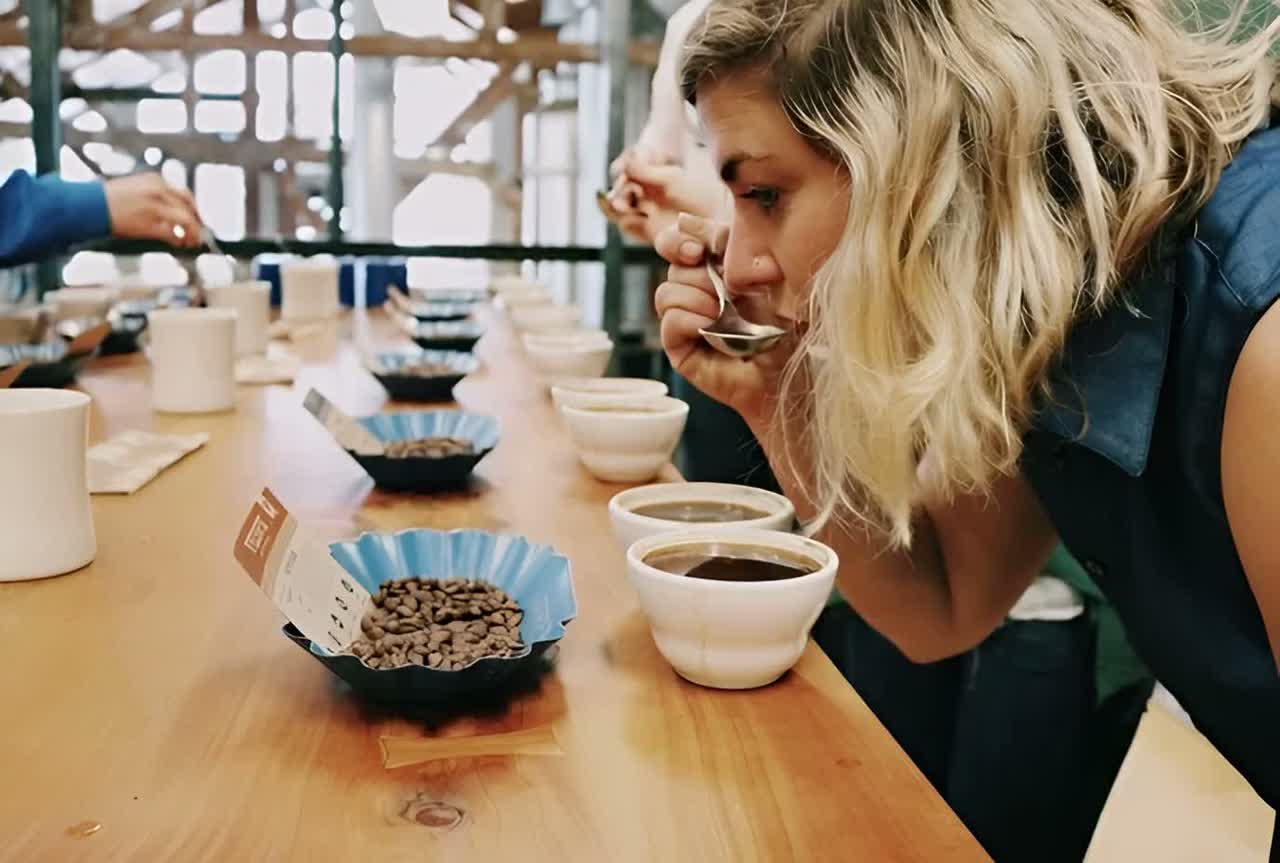 Coffee Tasting 101 — Respect the Process artwork