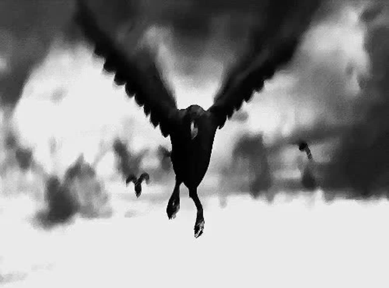 Persona image for Dark crow