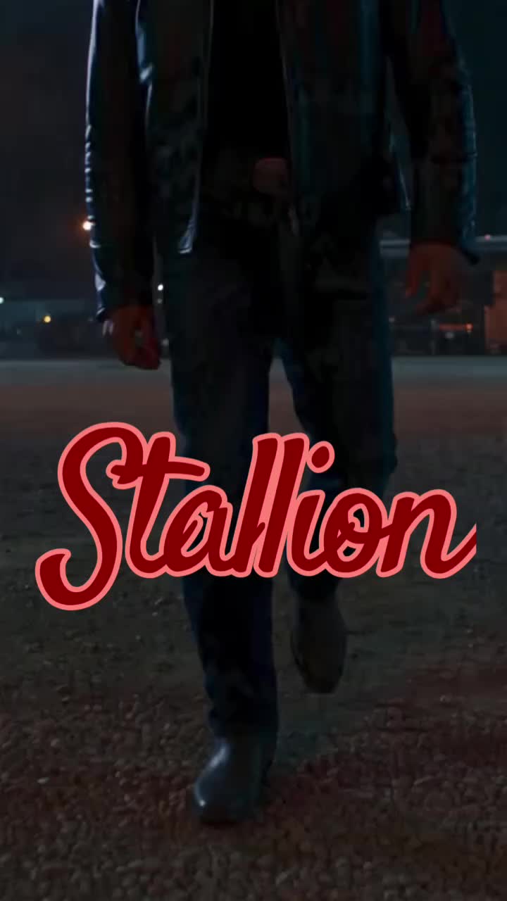 Stallion artwork
