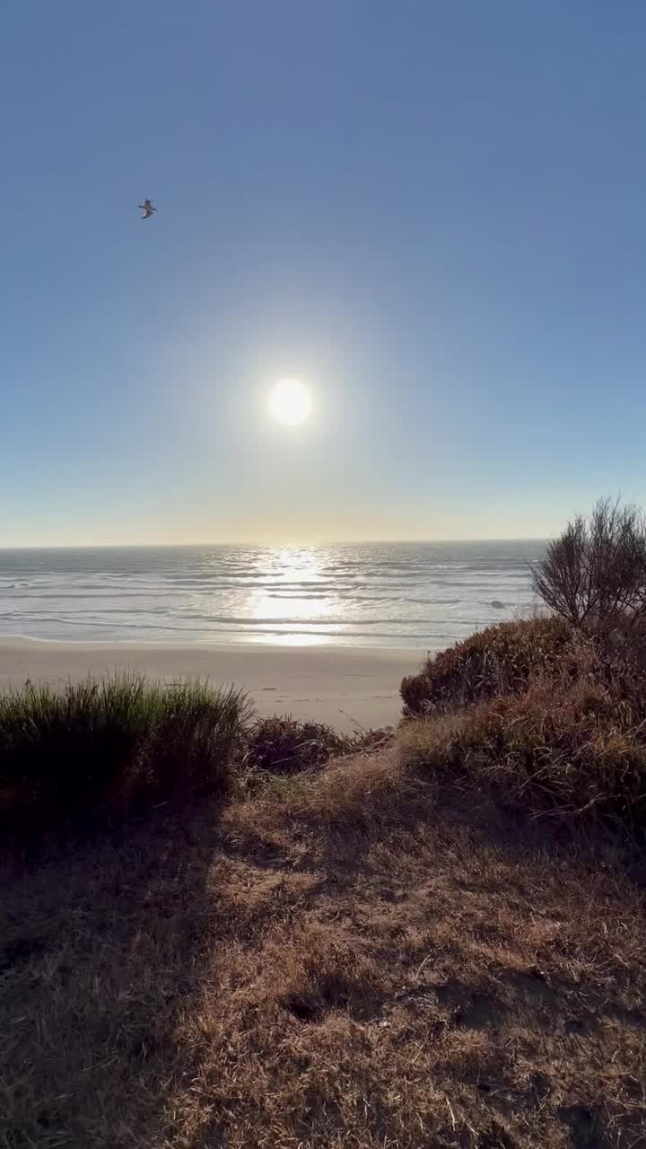 Bubbly Coastal Drive artwork