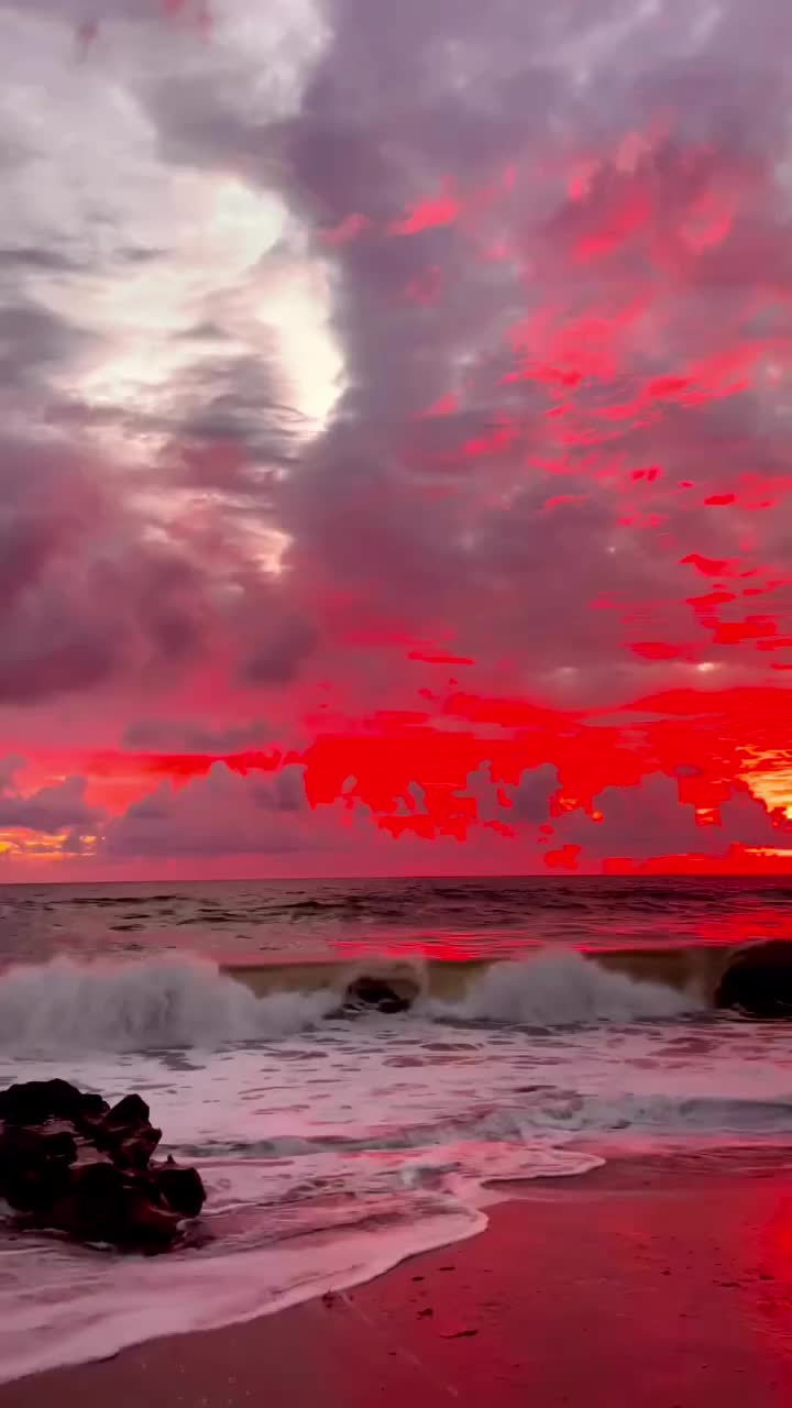 I Just Wanted the Sunset artwork