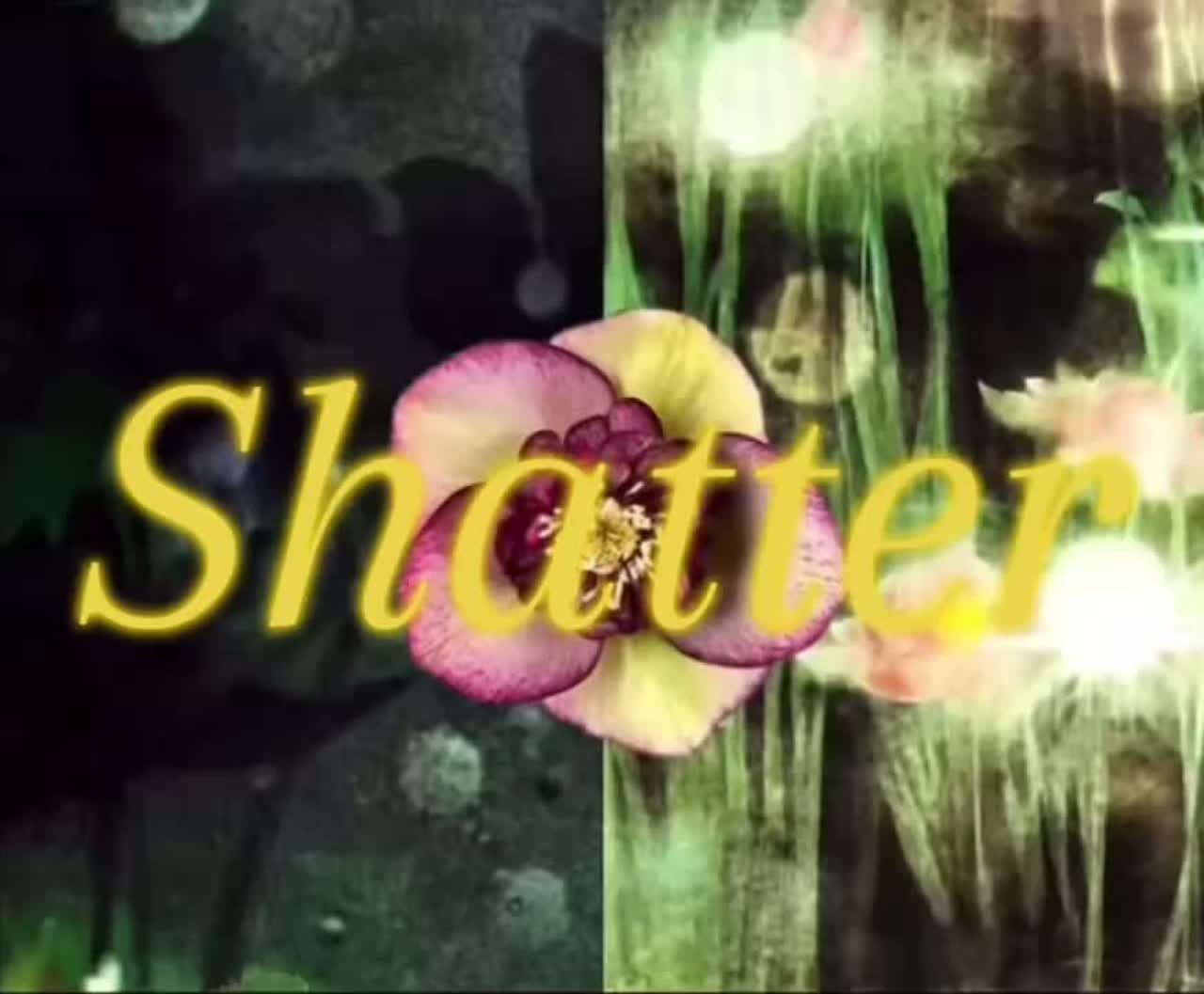 Shatter Album V5