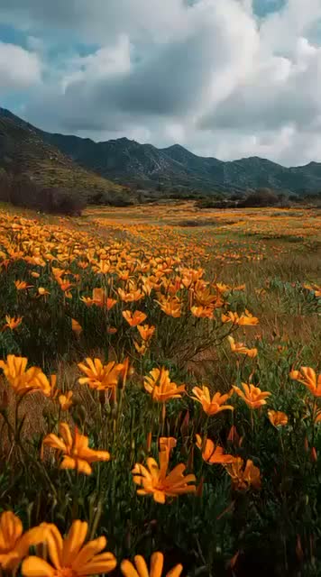 Beyond the Goldilocks Zone