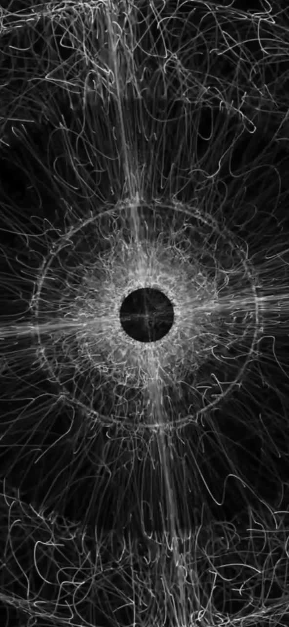 Hartrose - Quantum  Heart artwork