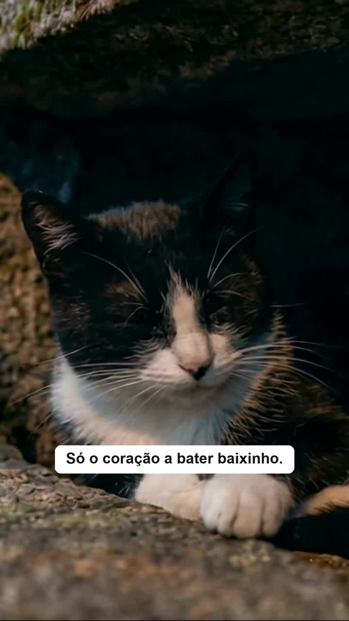 Depois das Portas artwork