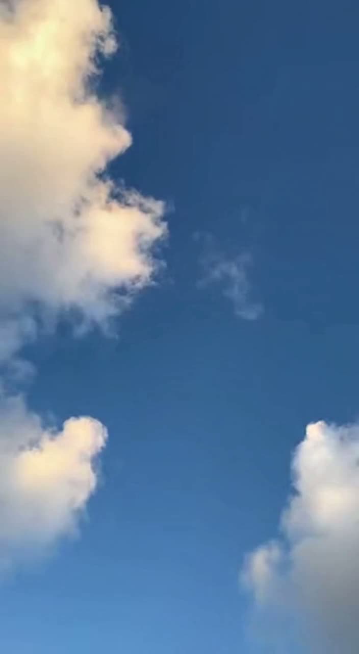 明日が、いい日でありますように（May Tomorrow Be a Good Day） artwork