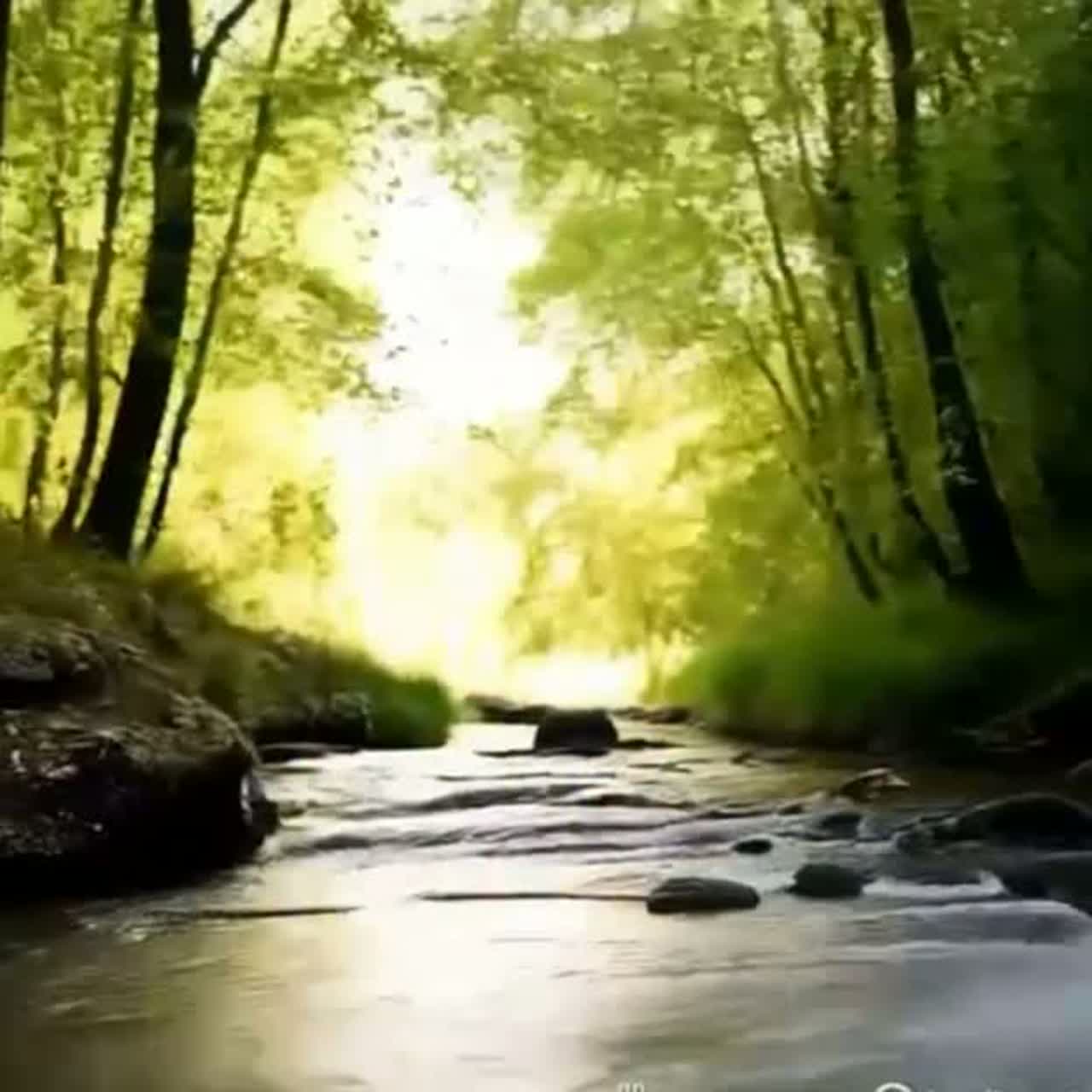 Persona image for Greg