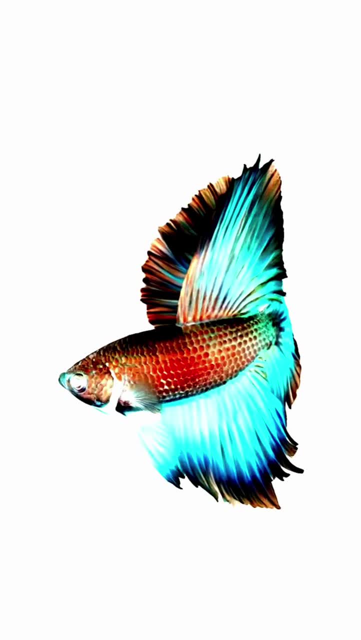 Thanks for the "great" new update! ✌️⁠ artwork