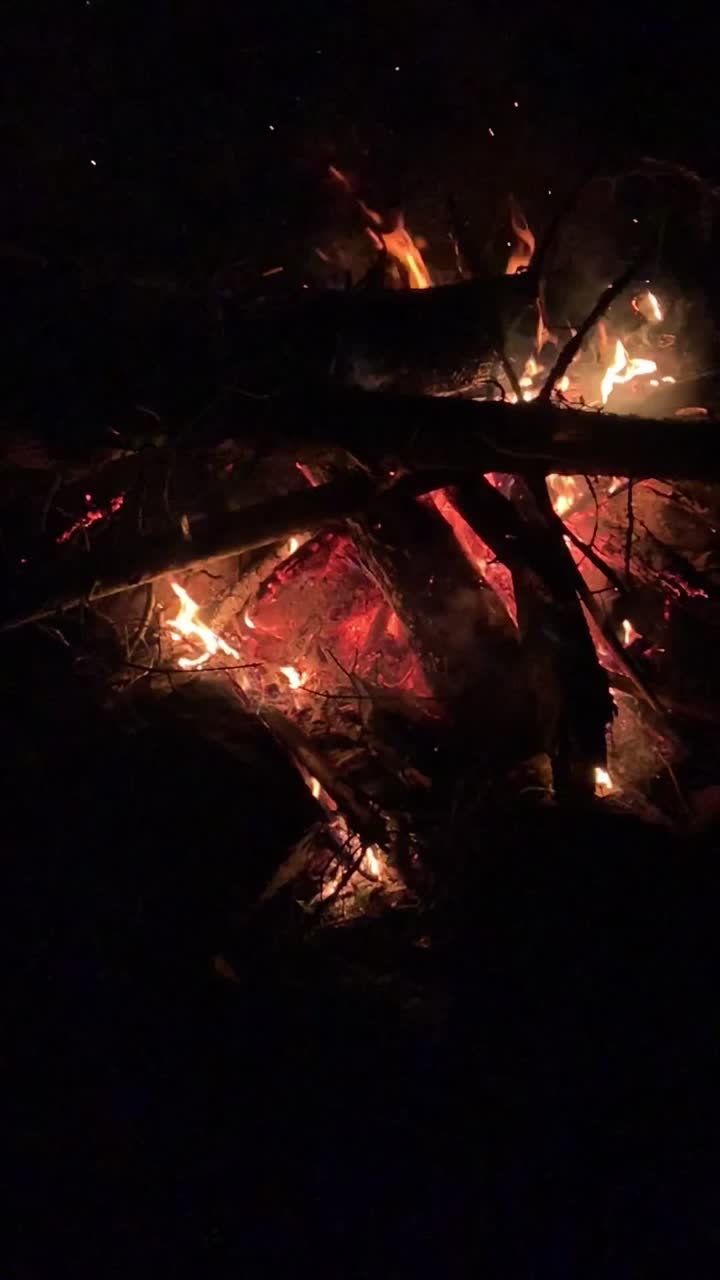 Image for Fuck Around Find Out